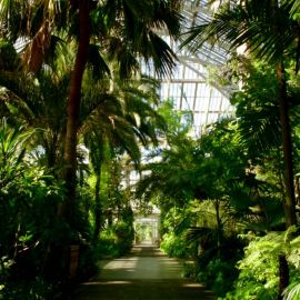 Ботанический сад бали (34 фото)