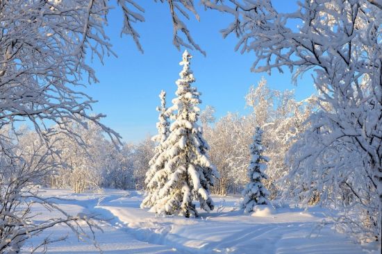Красивые зимние пейзажи (40 фото)
