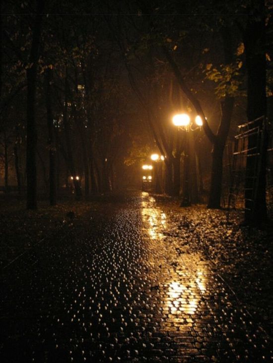 Дождь фонари (38 фото)