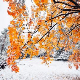 Осенний зимний период (31 фото)
