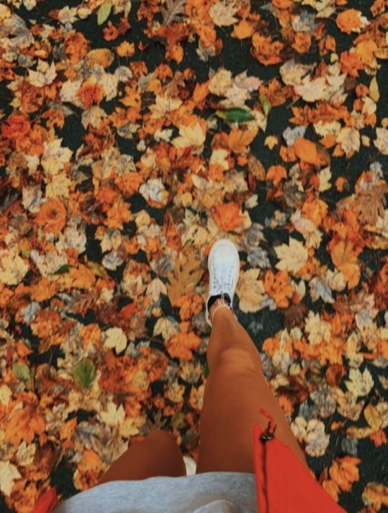 Осень под ногами (40 фото)