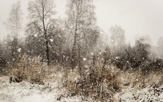 Вяземский первый снег (33 фото)