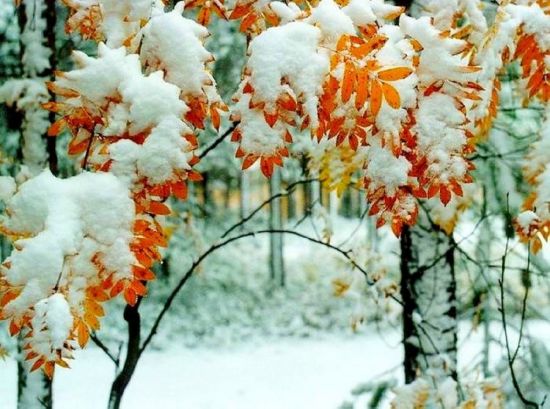 Последний месяц зимы (39 фото)