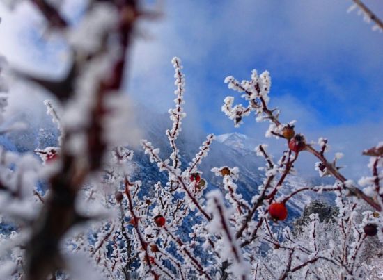 Киргизия зимой (41 фото)