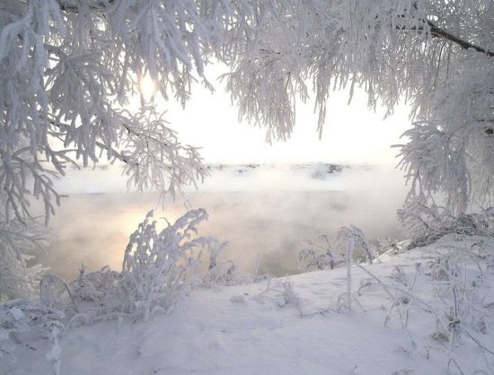 Истов белый снег (41 фото)