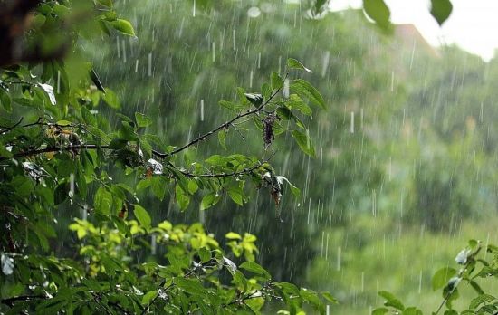Дожди в башкирии (41 фото)