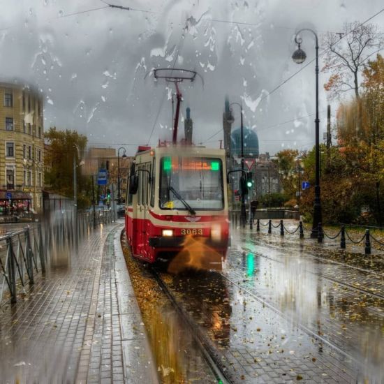 Дождливый город (42 фото)
