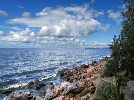 Невская губа финского залива (42 фото)