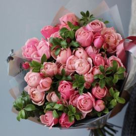 Роза сильва (41 фото)