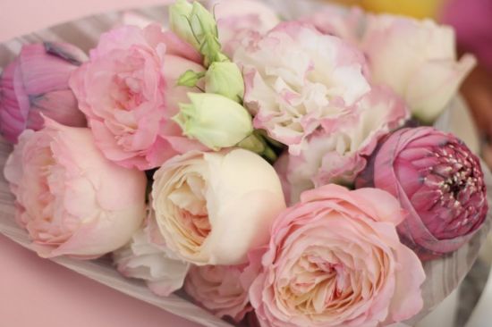 Цветы пионовидные розы (43 фото)