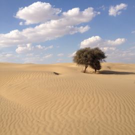 Аравийская равнина (40 фото)