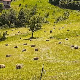 Биело поле черногория (32 фото)