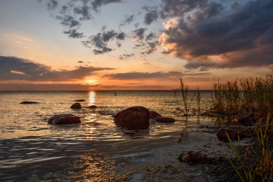 Елагин остров финский залив (37 фото)