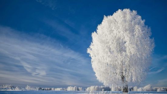 Белая зима (33 фото)