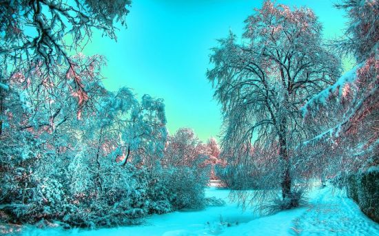 Красивая зимушка зима (35 фото)