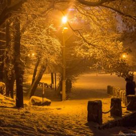 Вечерняя зима (36 фото)