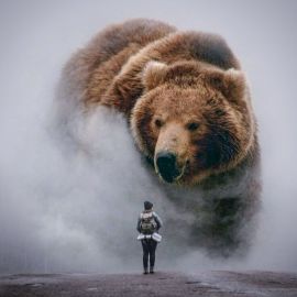 Большой медведь (30 фото)