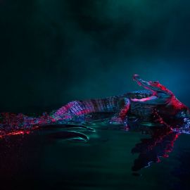 Красный крокодил (26 фото)