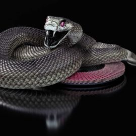 Черная мамба змея (36 фото)