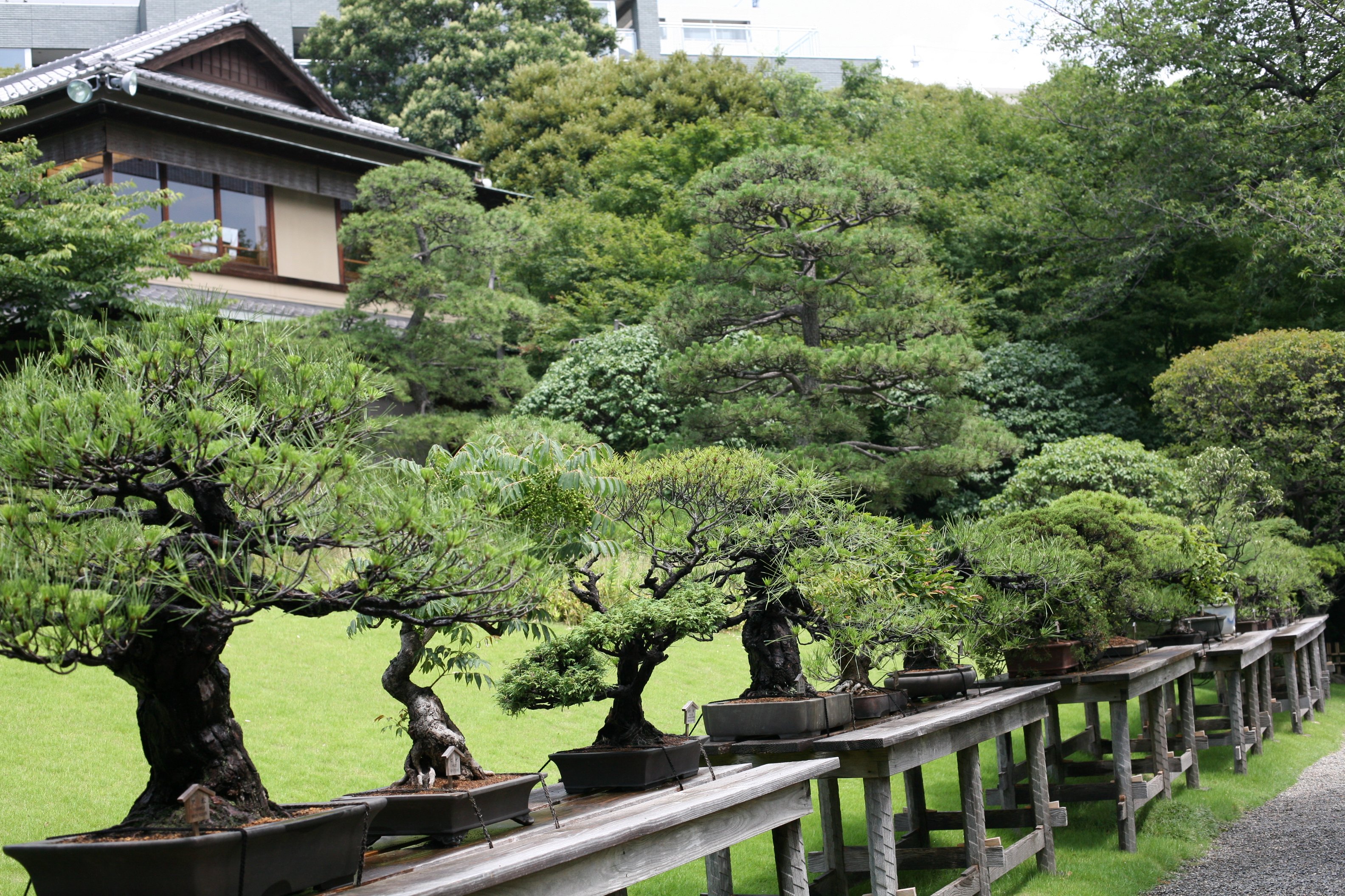 Сад Хаппо-эн в Японии