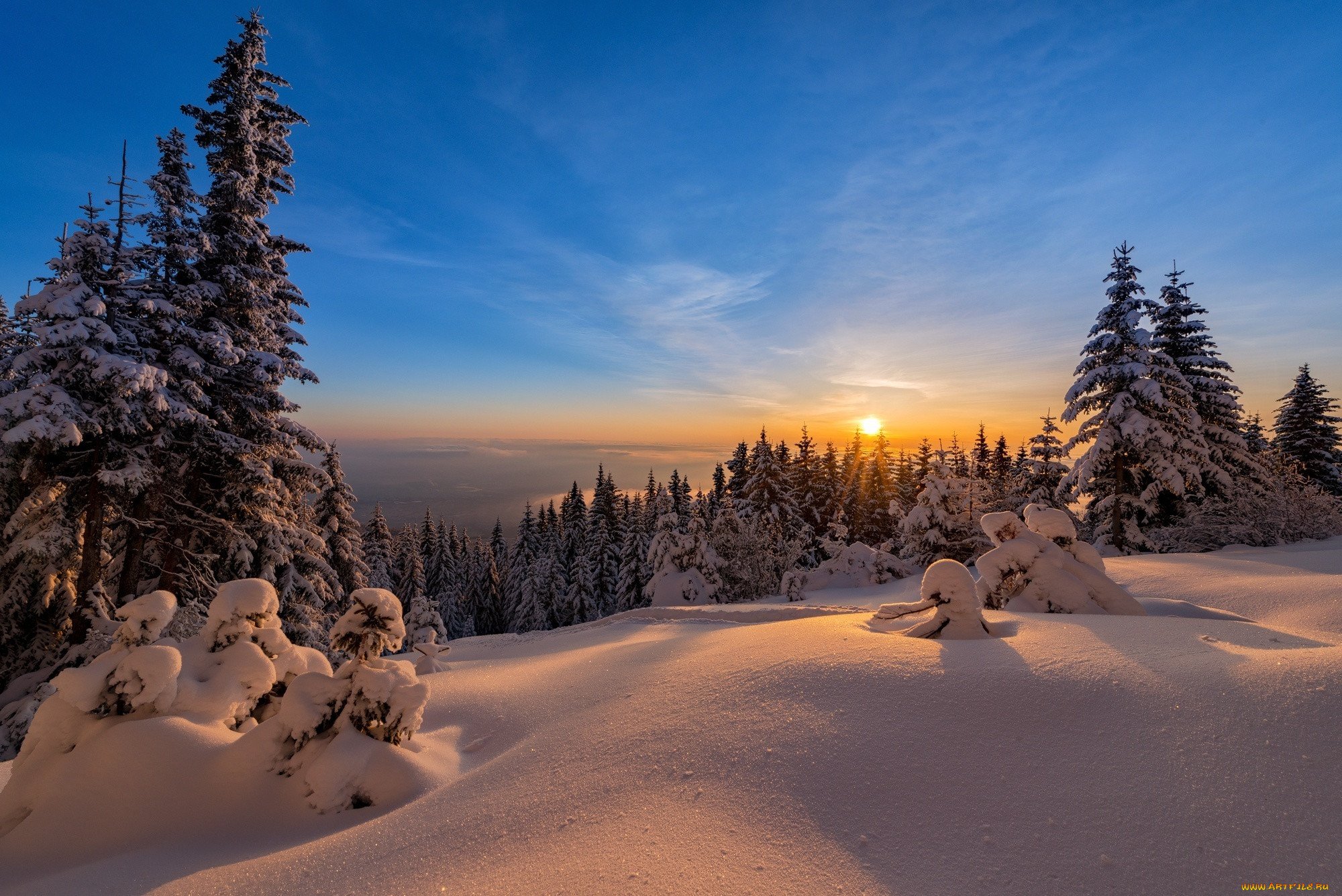 Пейзаж зимний лес. Зима солнце. Зимний лес. Зима снег солнце. Рассвет в зимнем лесу.