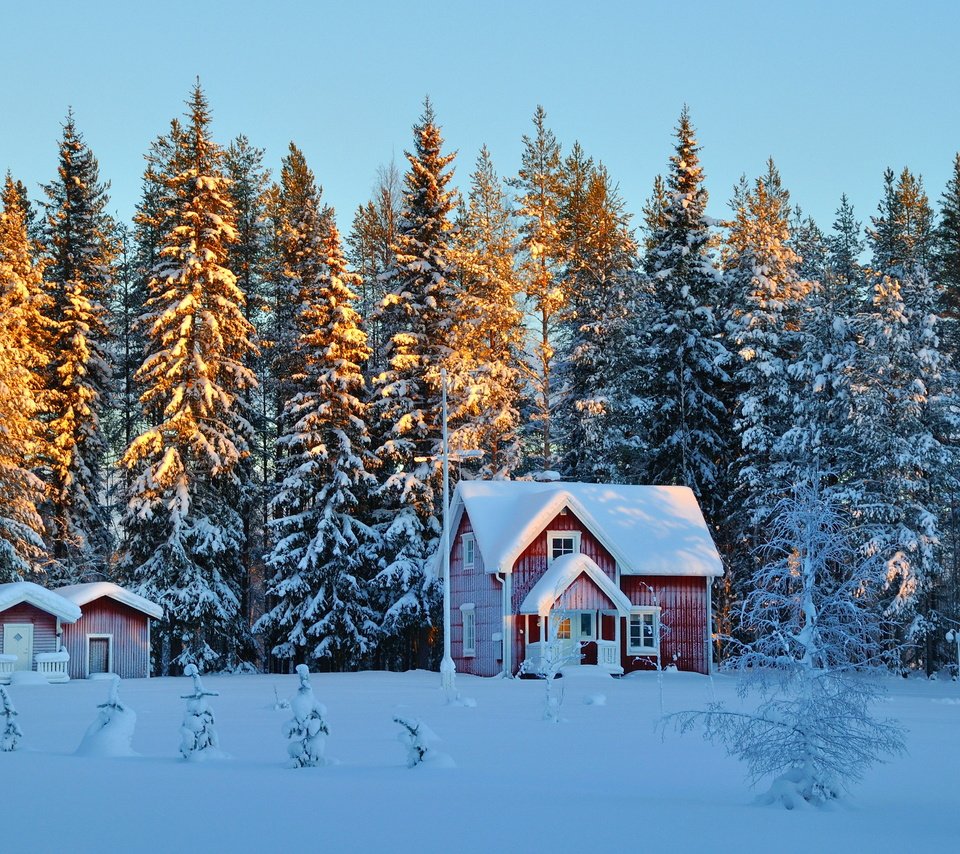 Лесной домик зимой