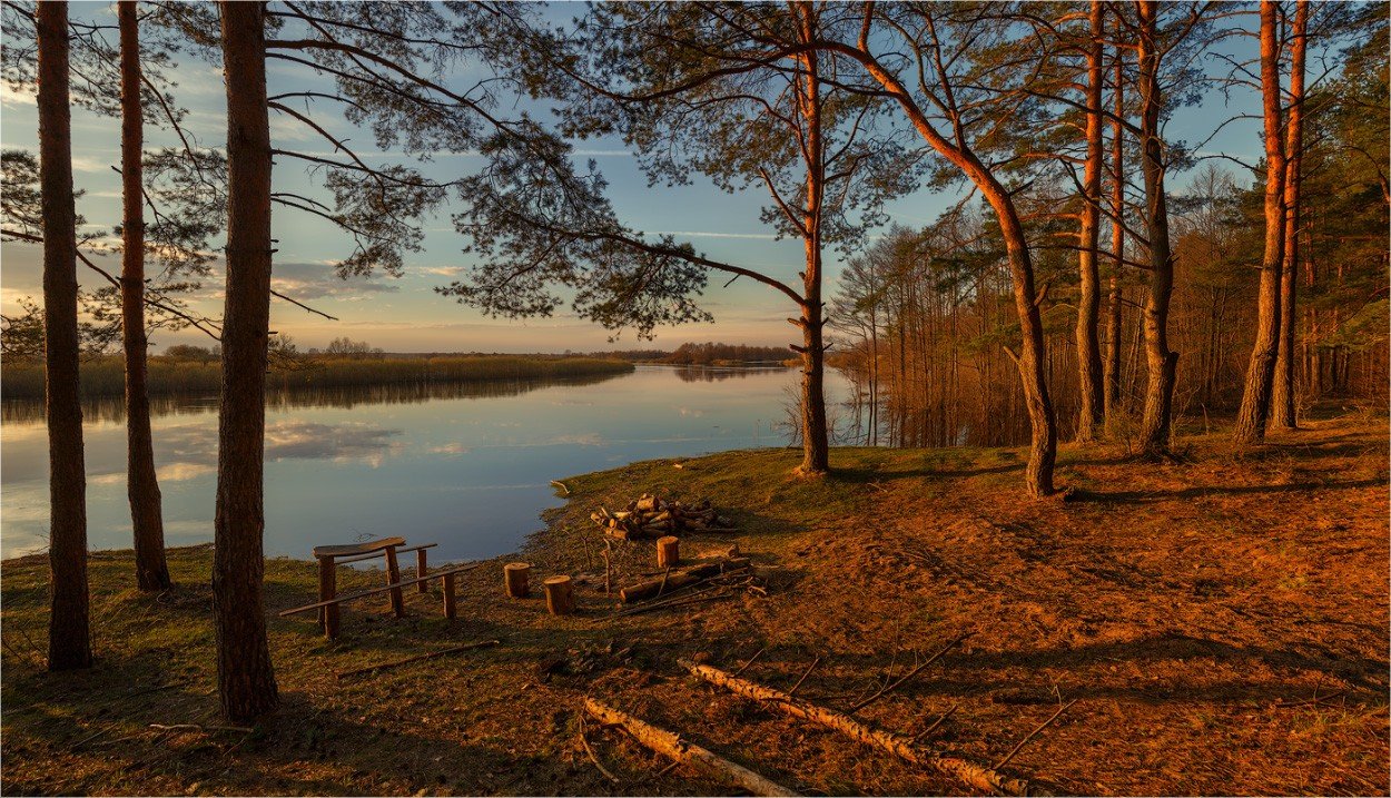 Берег реки в лесу