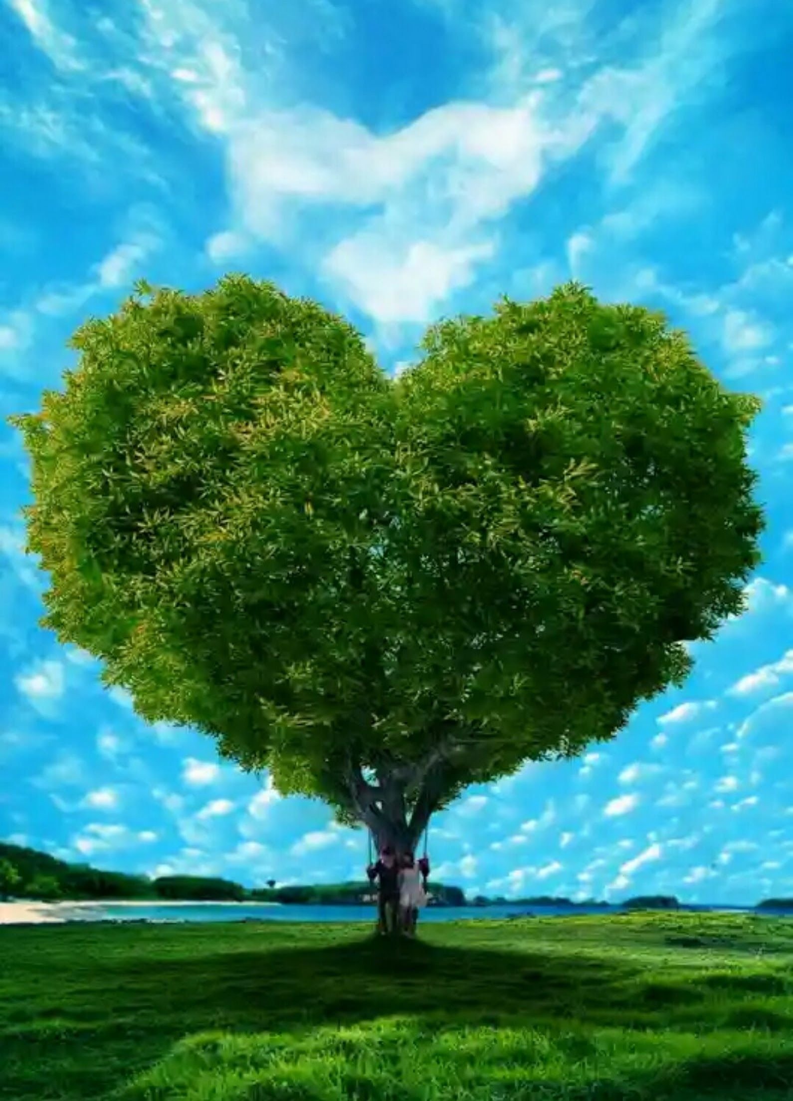 Покажи красивое дерево. Красивое дерево. Дерево зеленое. Красивое зеленое дерево. Дерево сердце.