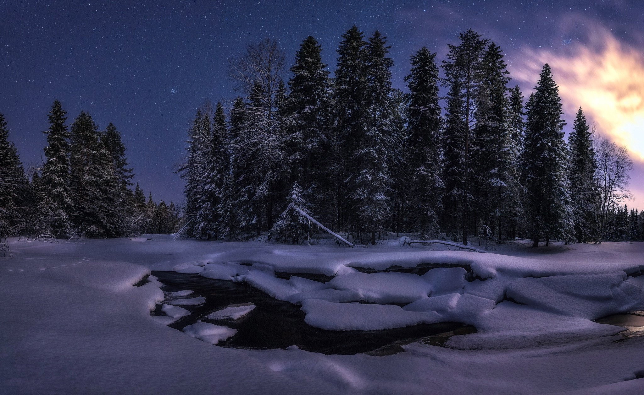 Зимняя ночь. Зимний лес ночью. Природа зима ночь. Ночная зимняя природа.