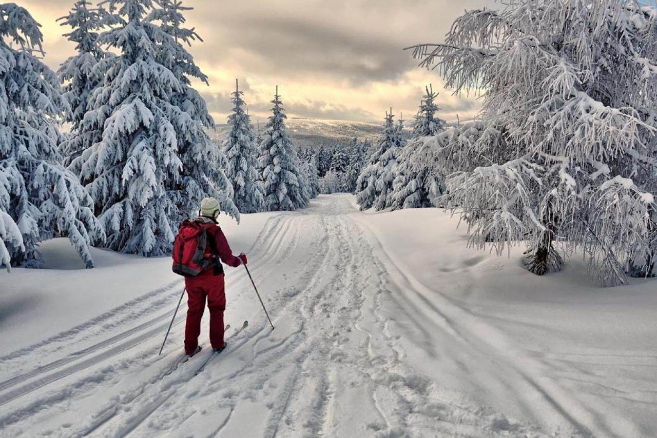 Беговые лыжи и природа зимняя атмосфера