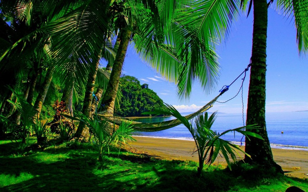 Коста Рика тропики