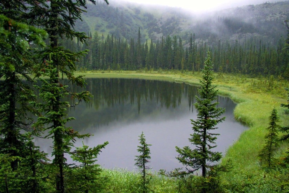 Лесное озеро в Сибири