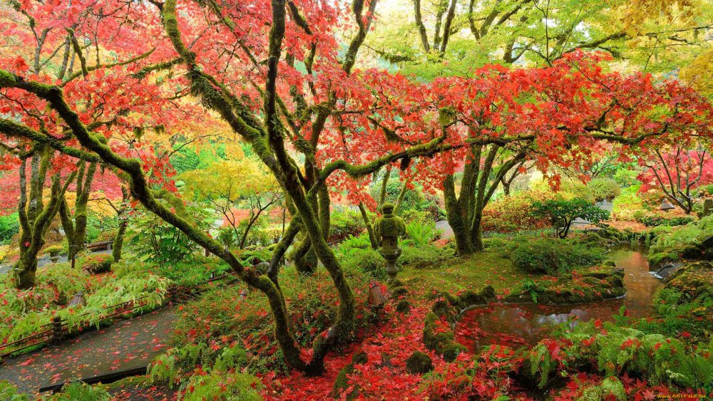 Сады Бутчартов японский сад