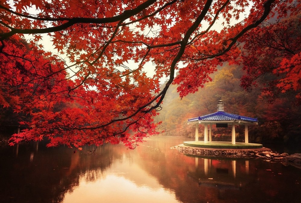 Осень в Японии