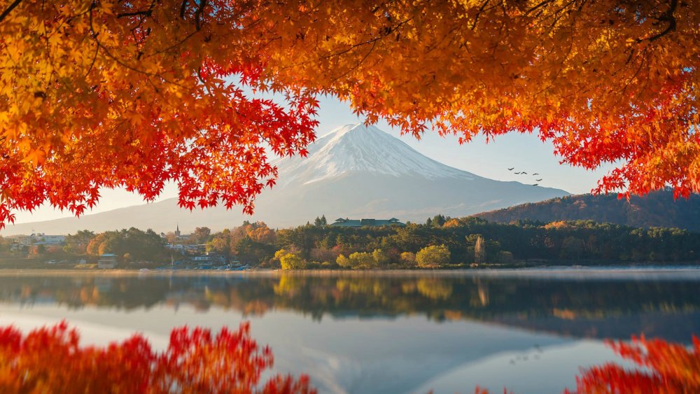 Осень озеро Фудзи
