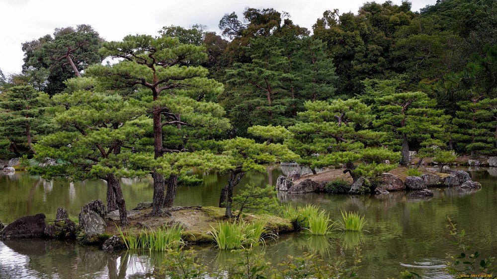 Парк Умэкодзи в Киото