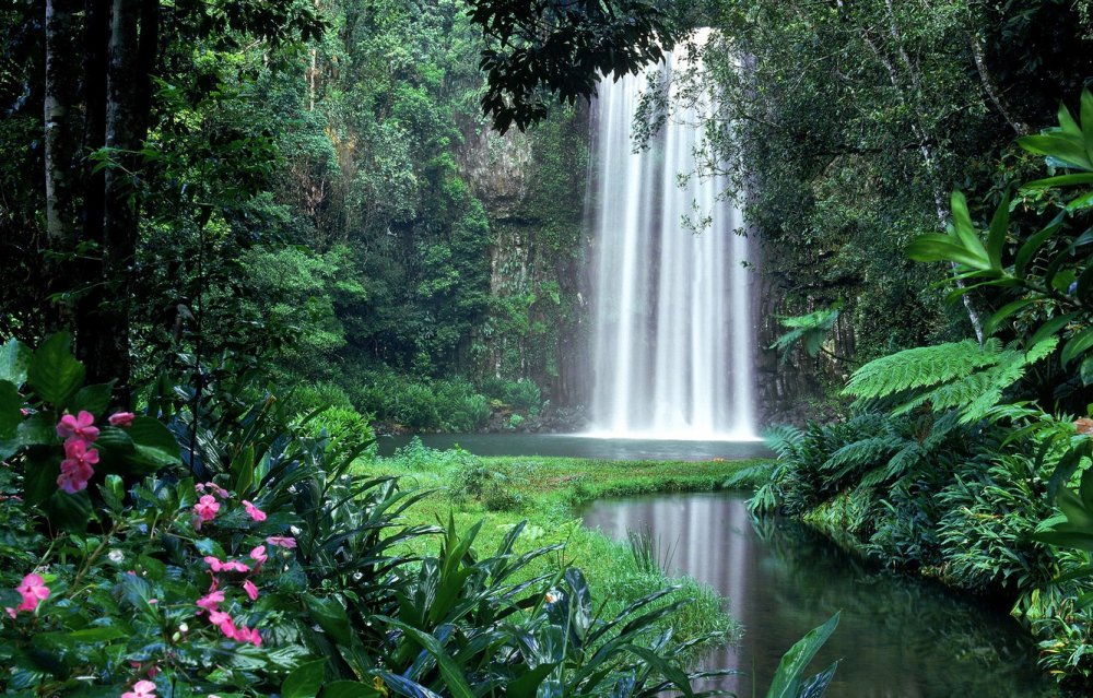 Водопад в тропиках