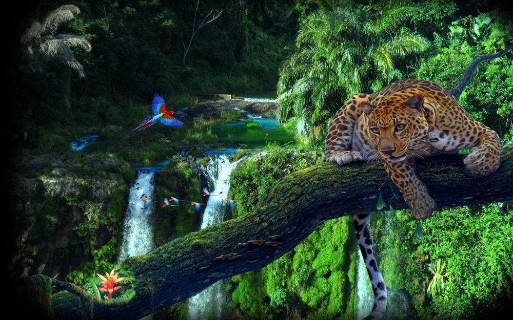 Джунгли леопард водопой