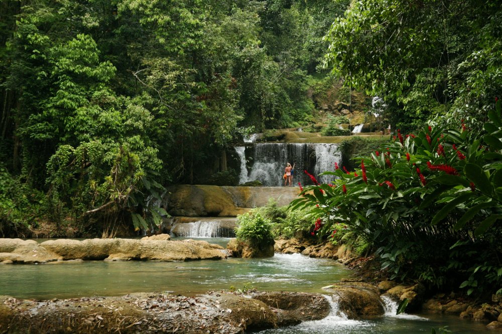 Ямайка тропический лес