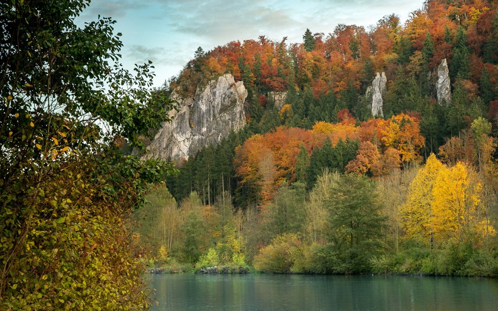 Осенний лес в Гарц Германия