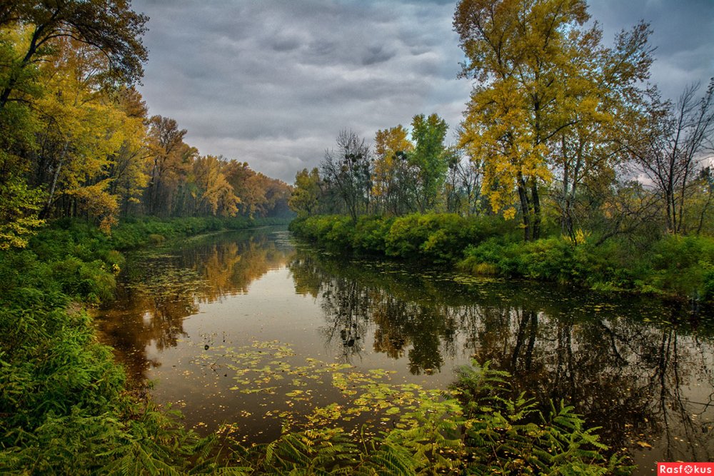 Река природа ранняя осень Тобол