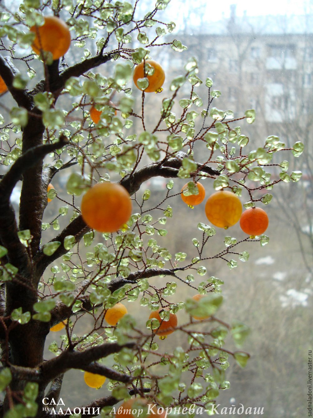 Цветущее апельсиновое дерево