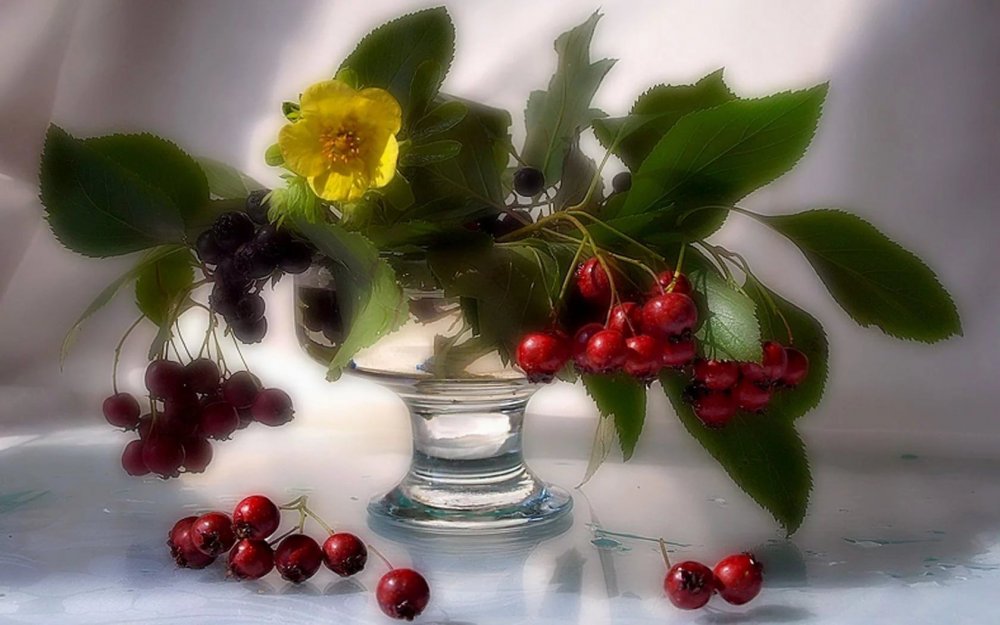 Ветка с ягодами в вазе