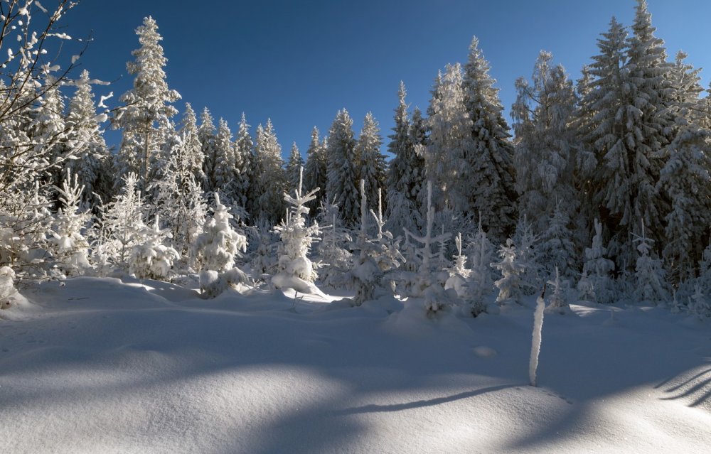 Красивые зимние фотографии природы