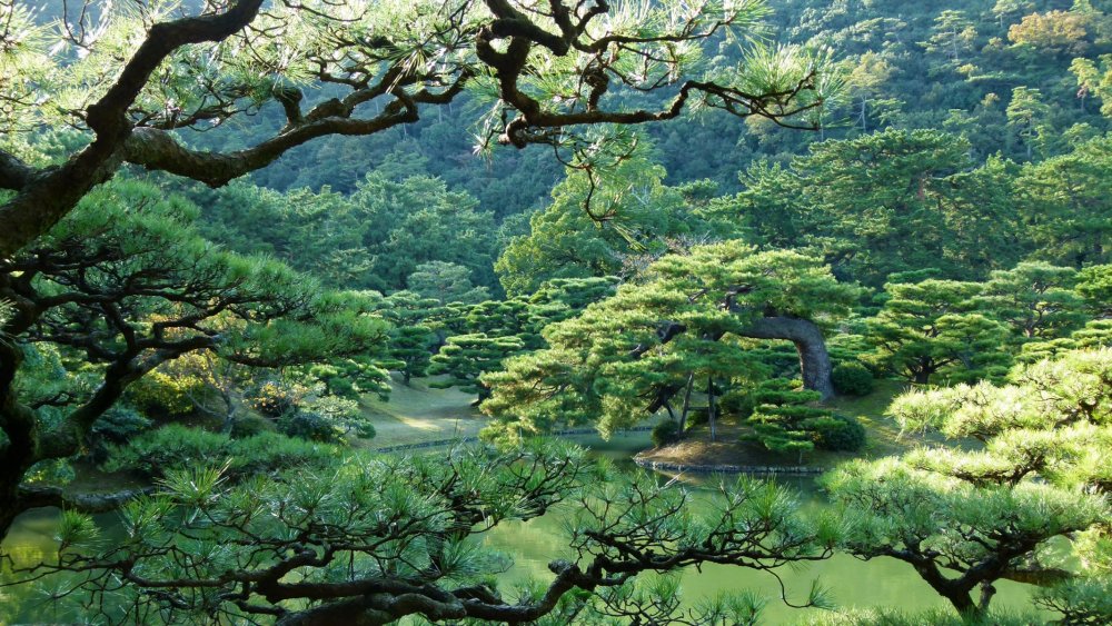 Сад рицурин Такамацу Япония