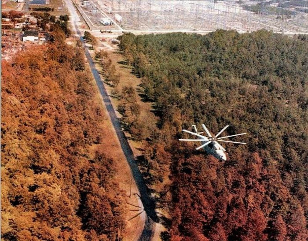 Чернобыльская АЭС рыжий лес