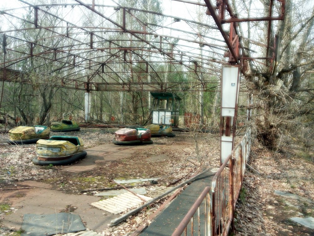 Чернобыль природа сейчас