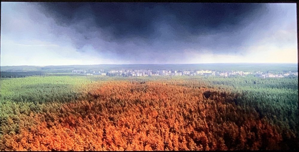 Красный лес Чернобыля