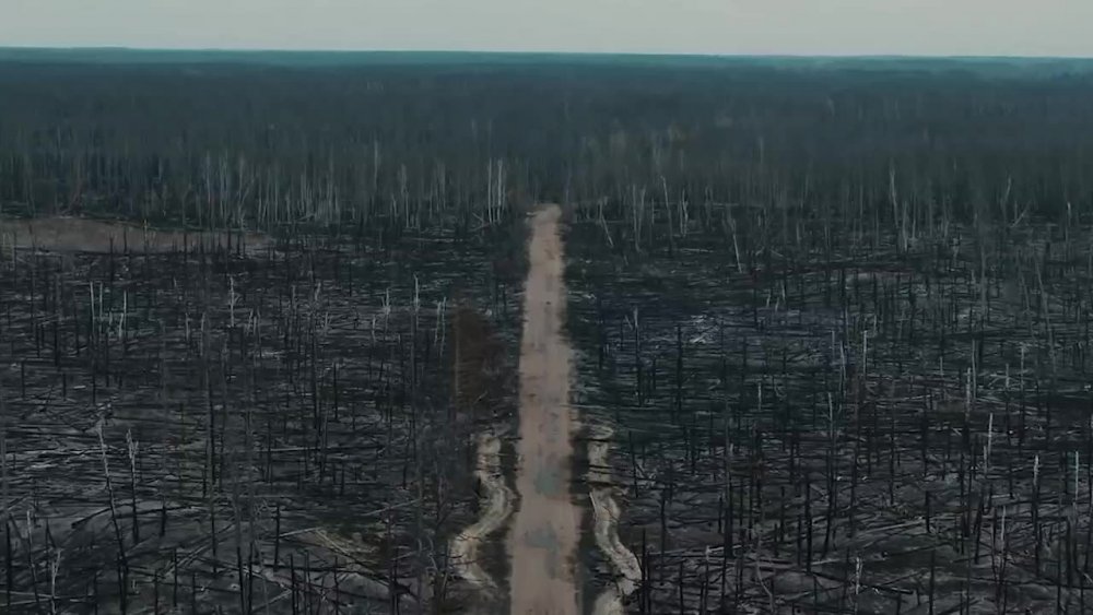 Чернобыль после пожара 2020