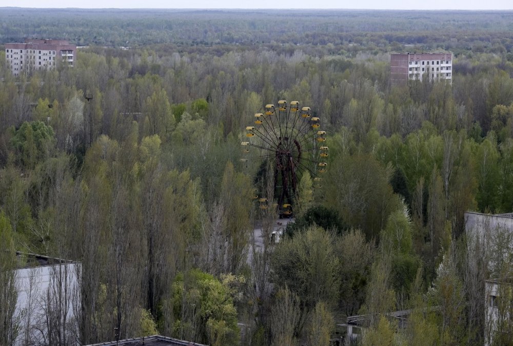 Чернобыль мертвая зона